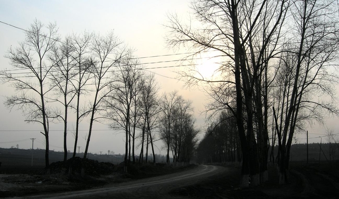 1256252111_8859dd87dd6e43e44a5e5f99cc29bb07